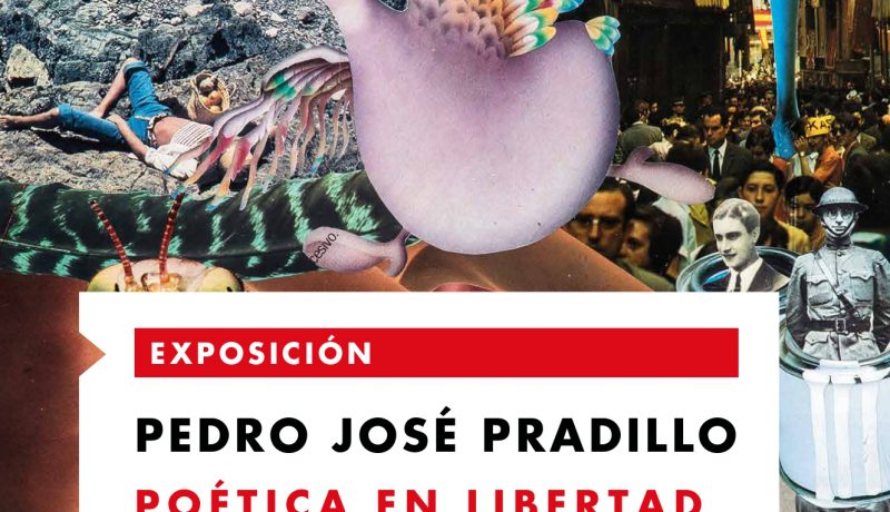 Poética en libertad